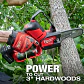 Motosierra de Poda Milwaukee M12 FUEL HATCHET 6