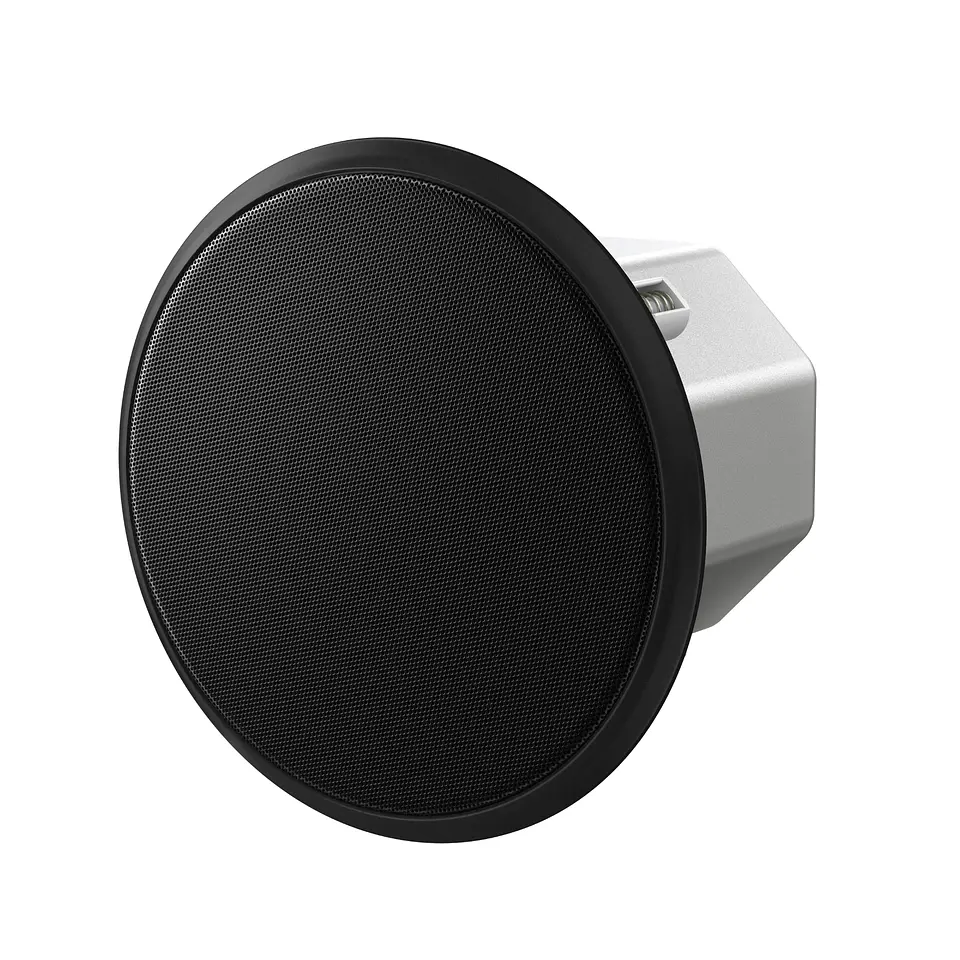 Pioneer Pro Audio CM-C54T-K Altavoz (Negro) 3