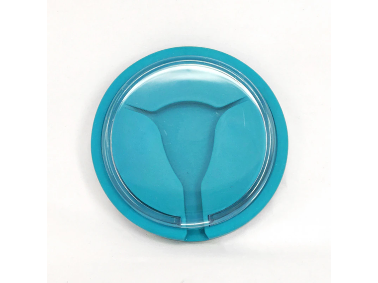 Modelo Practica Inserción Diu Útero 5