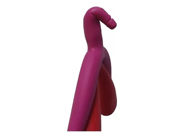 Modelo Anatómico 3d Clítoris 2