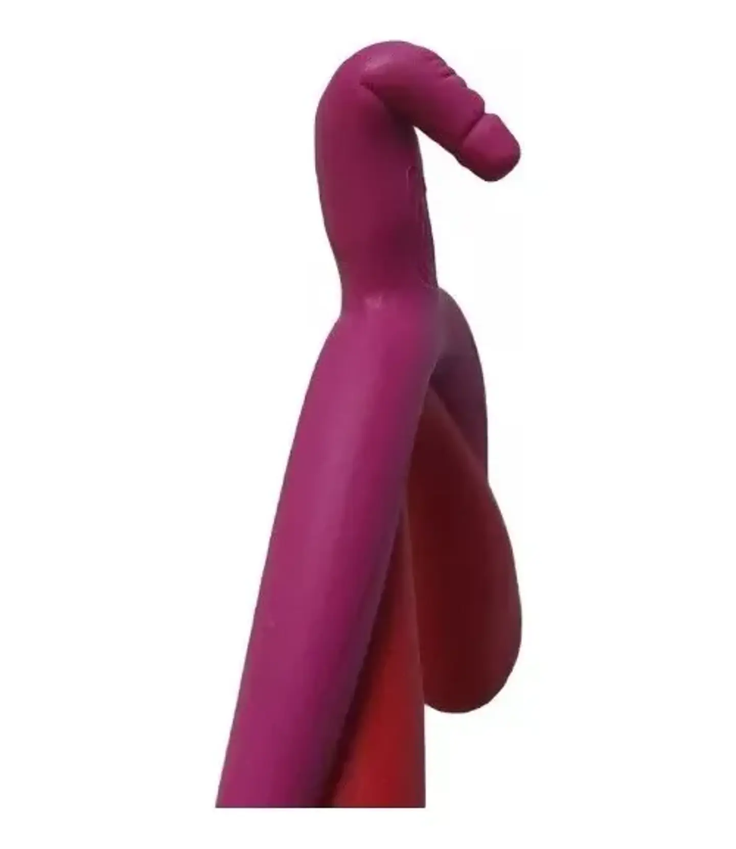 Modelo Anatómico 3d Clítoris 2