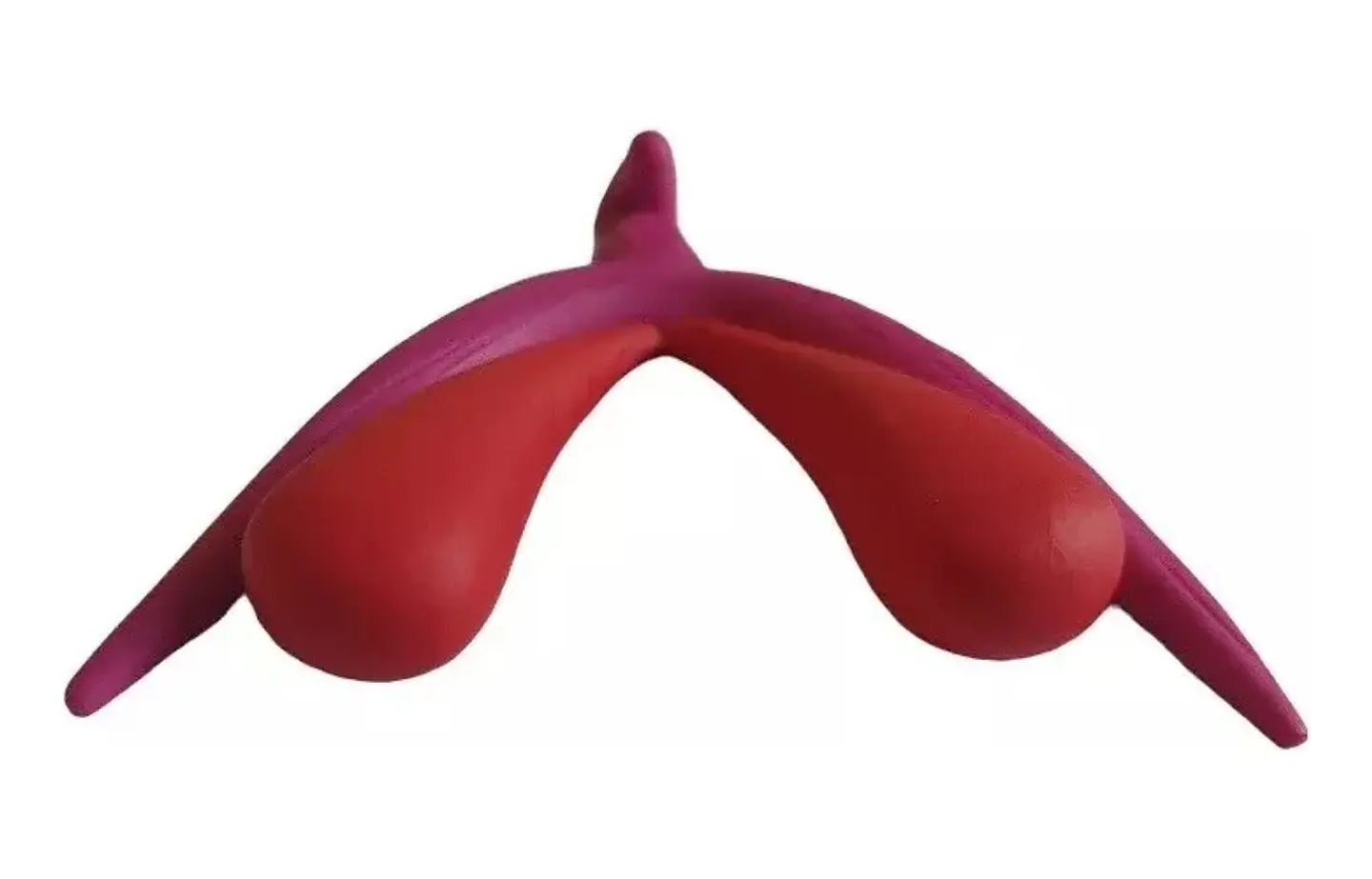 Modelo Anatómico 3d Clítoris 3