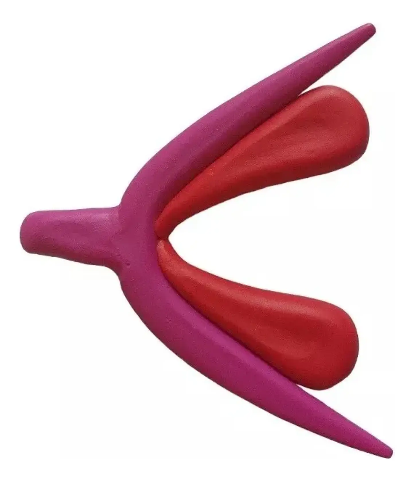 Modelo Anatómico 3d Clítoris 4