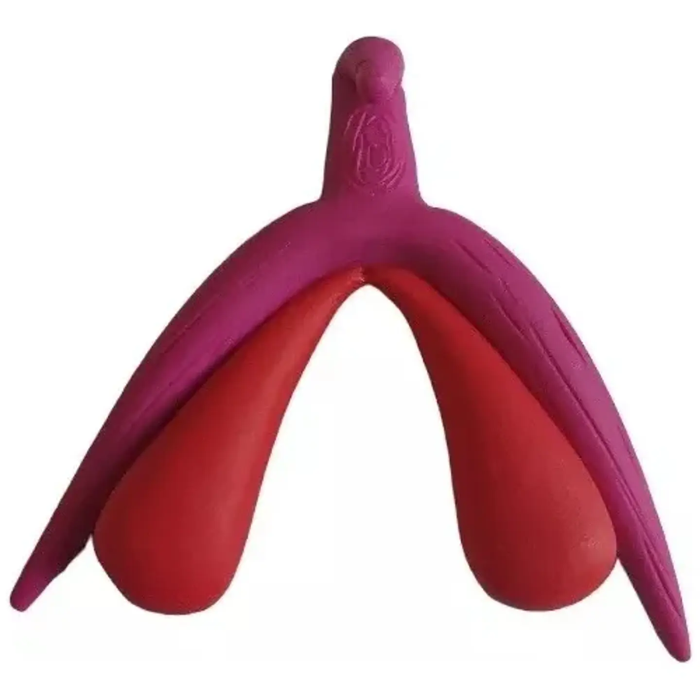 Modelo Anatómico 3d Clítoris 1