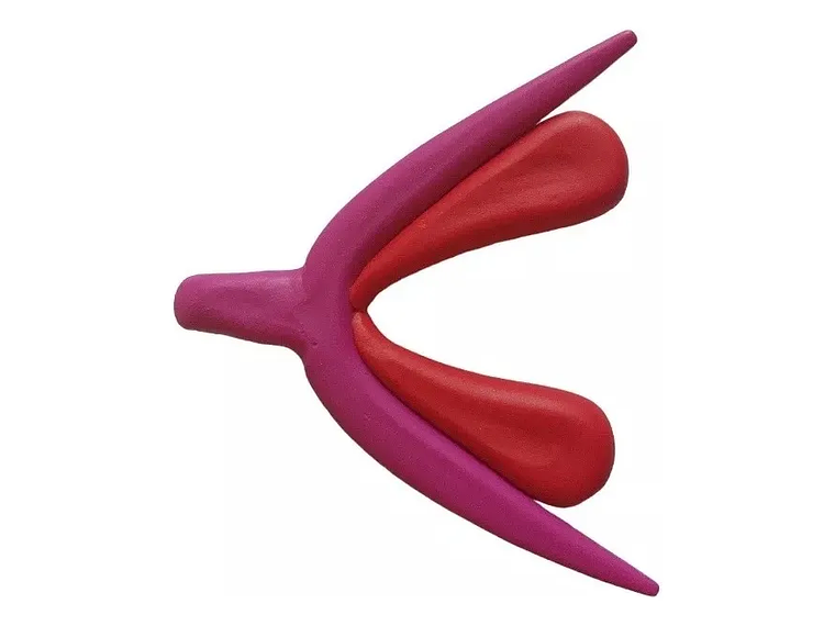 Modelo Anatómico 3d Clítoris 5