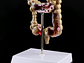 Maqueta Modelo Anatómico Colon Recto Patologías Más Comunes - Miniatura 2