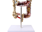 Maqueta Modelo Anatómico Colon Recto Patologías Más Comunes - Miniatura 1
