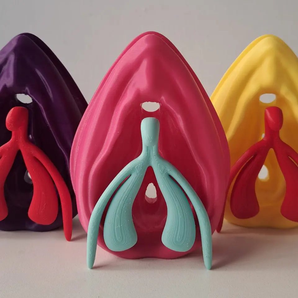 Modelo Anatómico Kit Educativo Vulva + Clítoris desmontable 3