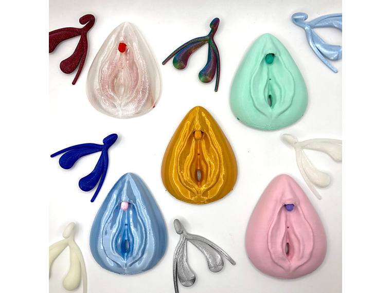 Modelo Anatómico Kit Educativo Vulva + Clítoris desmontable 5