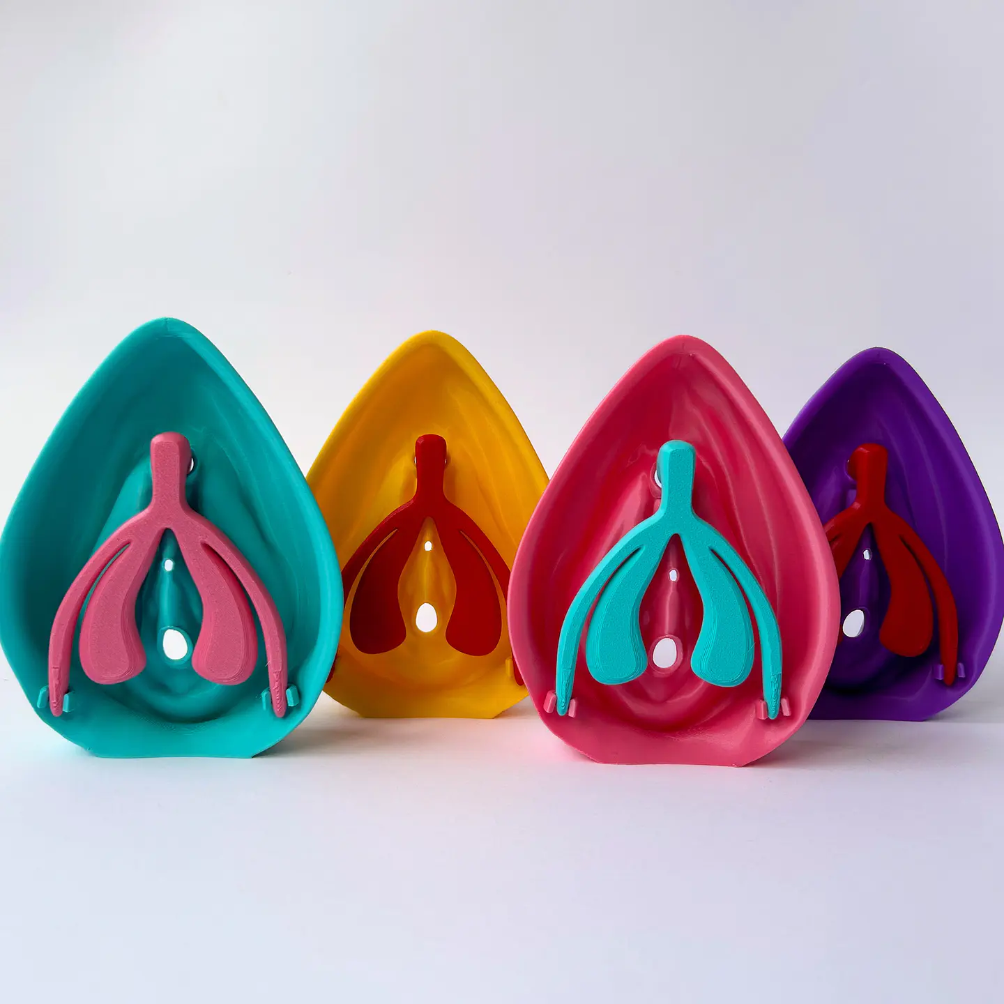 Modelo Anatómico Kit Educativo Vulva + Clítoris desmontable 2