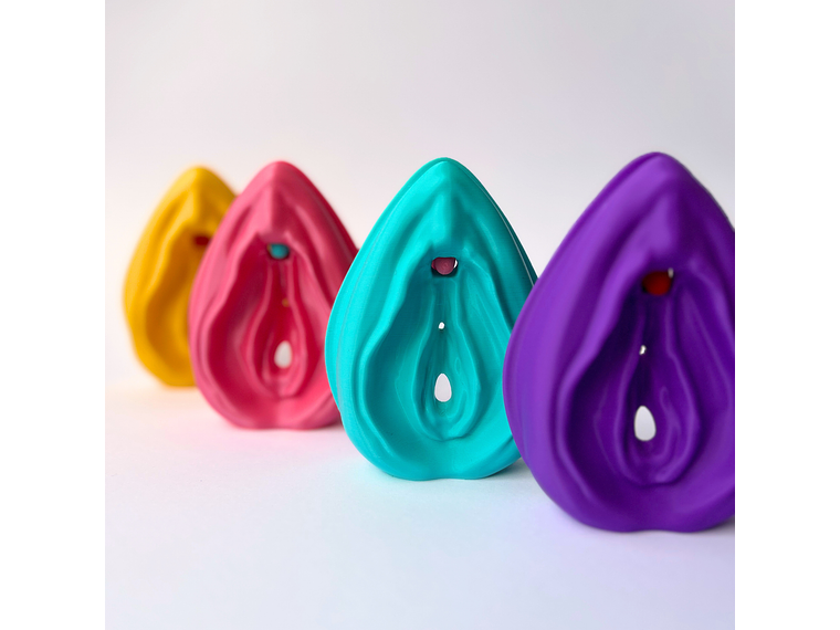 Modelo Anatómico Kit Educativo Vulva + Clítoris desmontable 1