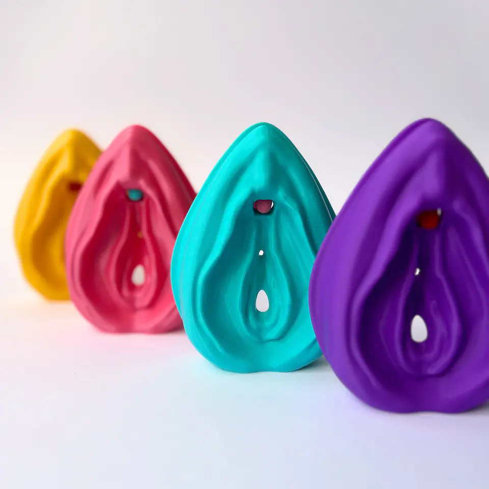 Modelo Anatómico Kit Educativo Vulva + Clítoris desmontable 1