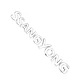 Logo Emblema Para Ssangyong 21,1cm X 2,9cm - Miniatura 4