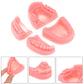 Set 4 Piezas Dental Kit Práctica Sutura Cirujano Dentista - Miniatura 1