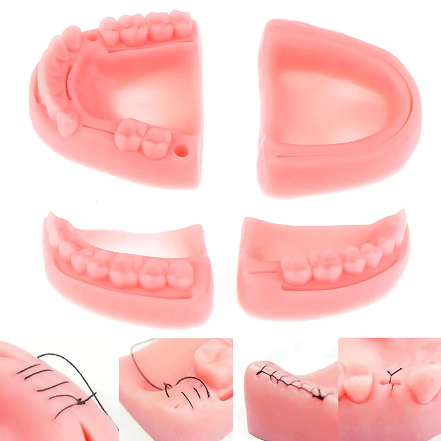 Set 4 Piezas Dental Kit Práctica Sutura Cirujano Dentista 2