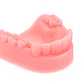 Set 4 Piezas Dental Kit Práctica Sutura Cirujano Dentista - Miniatura 3