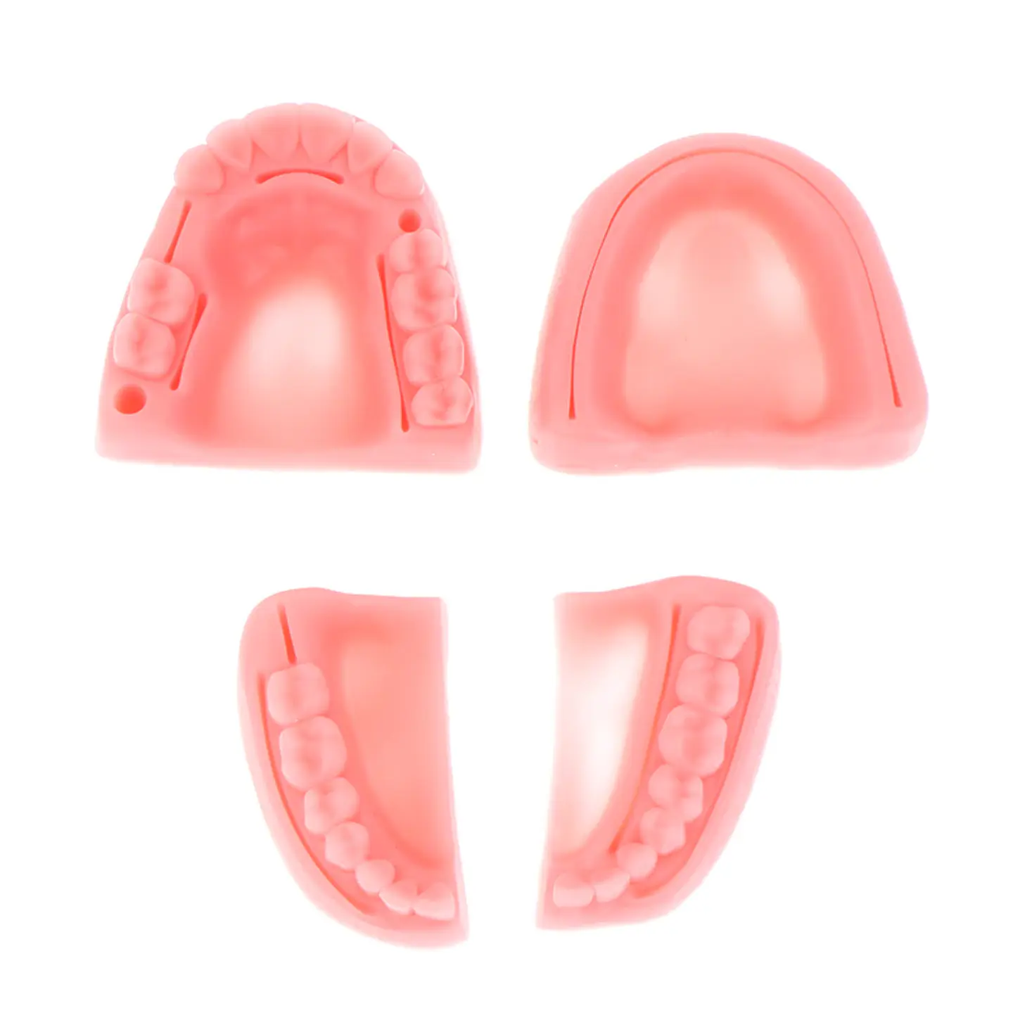 Set 4 Piezas Dental Kit Práctica Sutura Cirujano Dentista 5