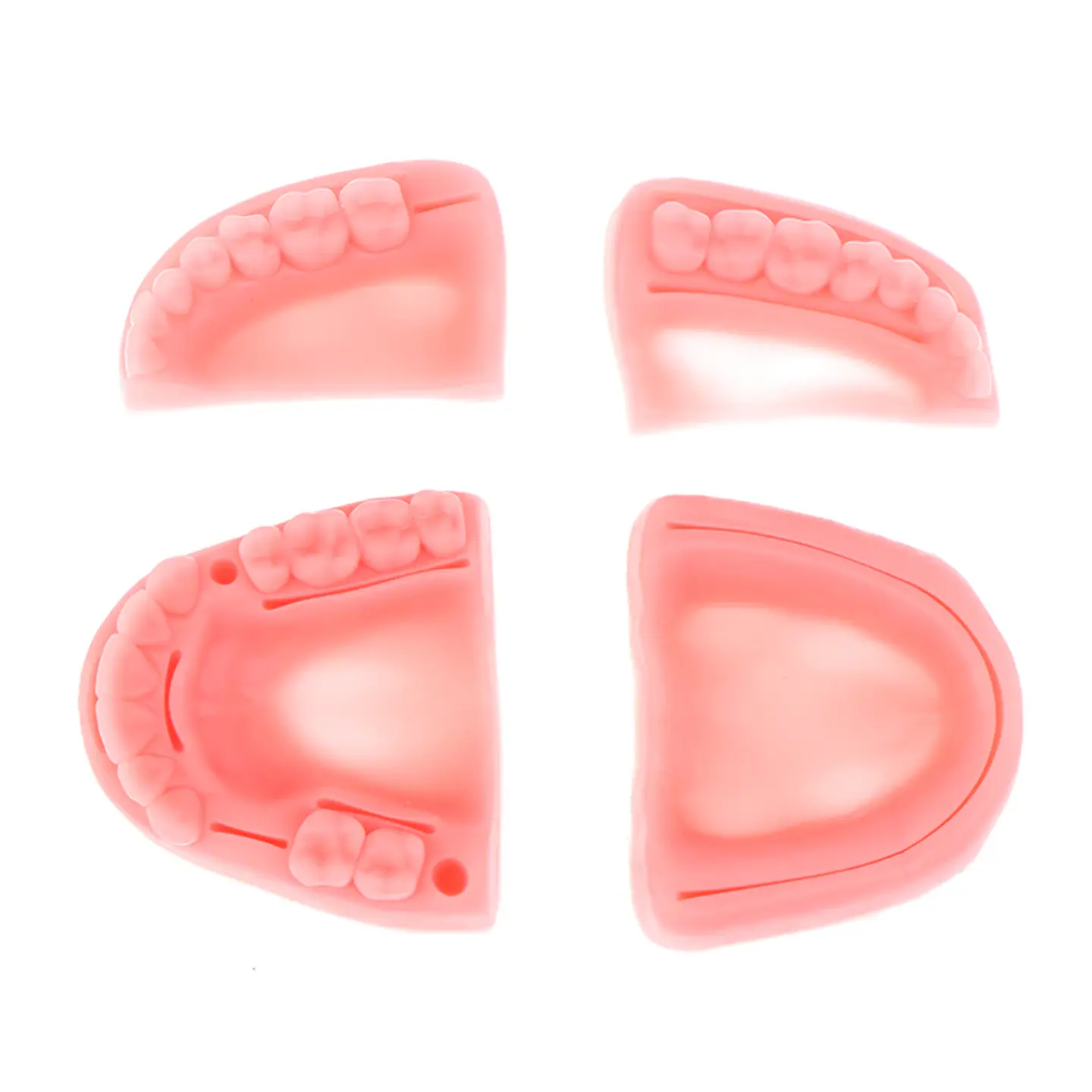 Set 4 Piezas Dental Kit Práctica Sutura Cirujano Dentista 6