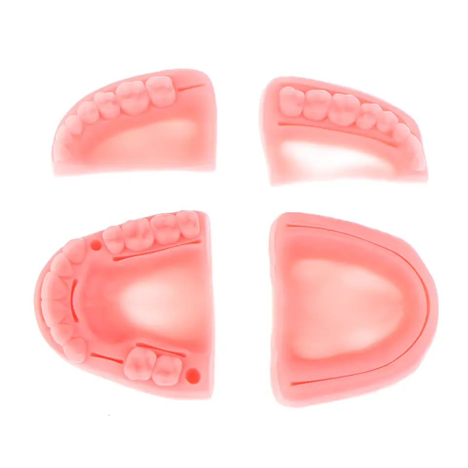 Set 4 Piezas Dental Kit Práctica Sutura Cirujano Dentista 6