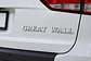 Logo Emblema Para Great Wall 21.2x2.7cm - Miniatura 4