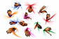 Set 12 Moscas Surtidas Señuelos Pesca Fly Fishing A - Miniatura 1