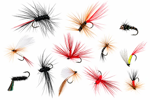 Set 12 Moscas Surtidas Señuelos Pesca Fly Fishing B