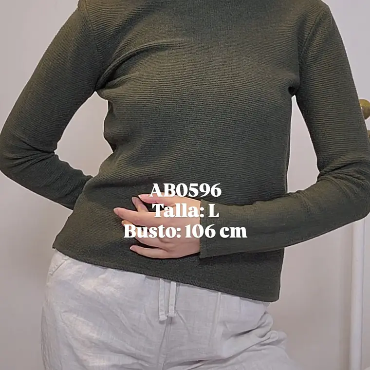 AB0596 1