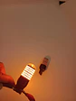 T20 Doble Contacto 7443 Ambar / Amarillo  - Miniatura 7