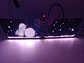 X2 Pantallas Led animadas programables winking eye multifunción - thumbnail 5
