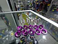 Set de 10 tornillos o pernos con 10 arandelas M6 de aluminio - thumbnail 11