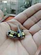 Par ampolletas - led T10 W5W colita de pez antierror canbus 8led - Miniatura 6