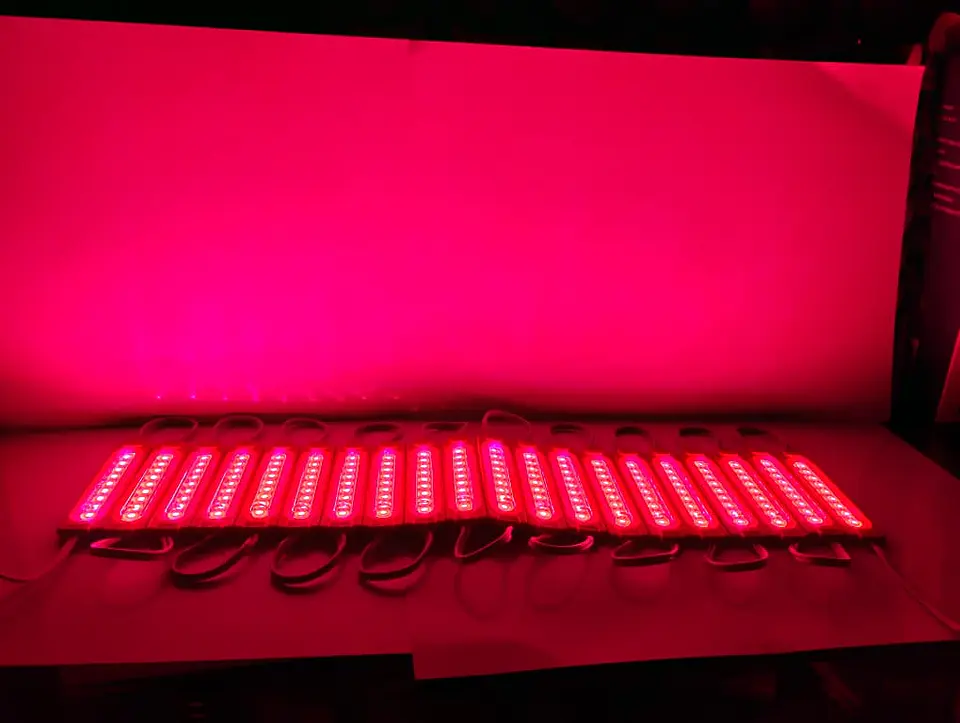 Módulo Caluga led Rosado,fucsia 12v X20 Piezas impermeables con adhesivo  2