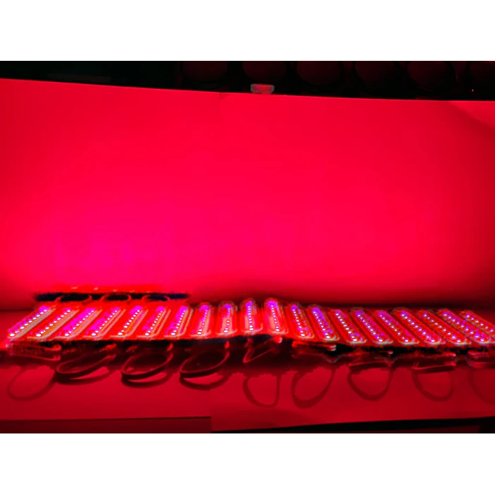 Módulo Caluga led Rosado,fucsia 12v X20 Piezas impermeables con adhesivo  5
