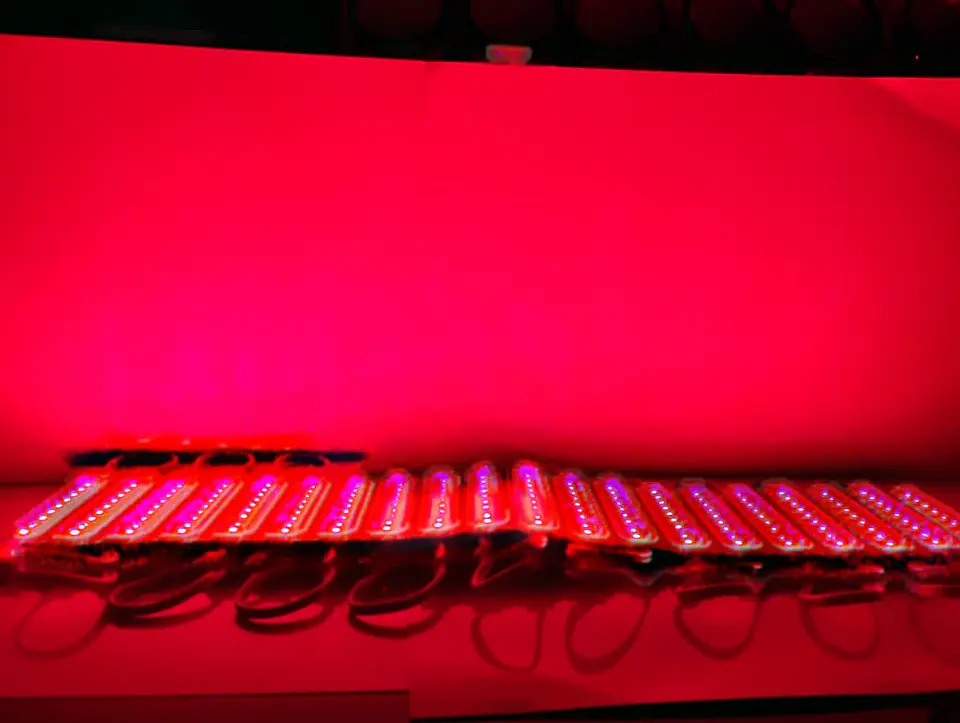 Módulo Caluga led Rosado,fucsia 12v X20 Piezas impermeables con adhesivo  5