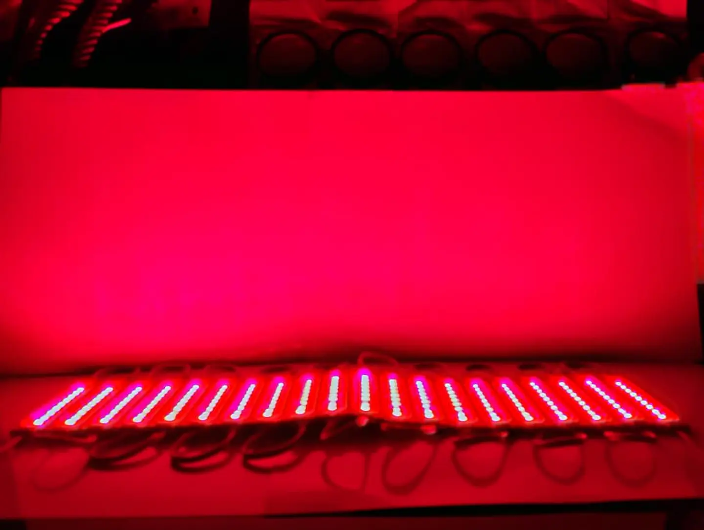 Módulo Caluga led Rosado,fucsia 12v X20 Piezas impermeables con adhesivo  6
