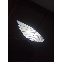 X2 Luces LED cortesía puerta auto batería, logo alas