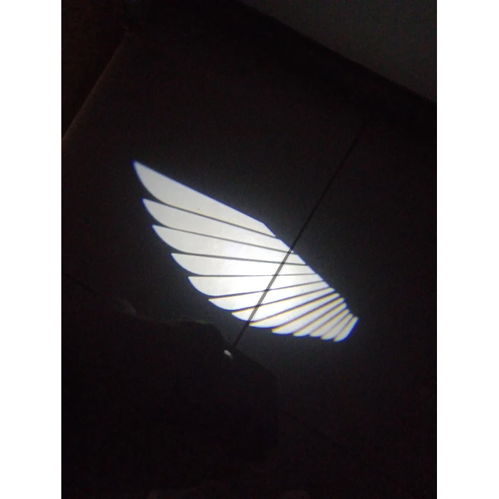 X2 Luces LED cortesía puerta auto batería, logo alas 1