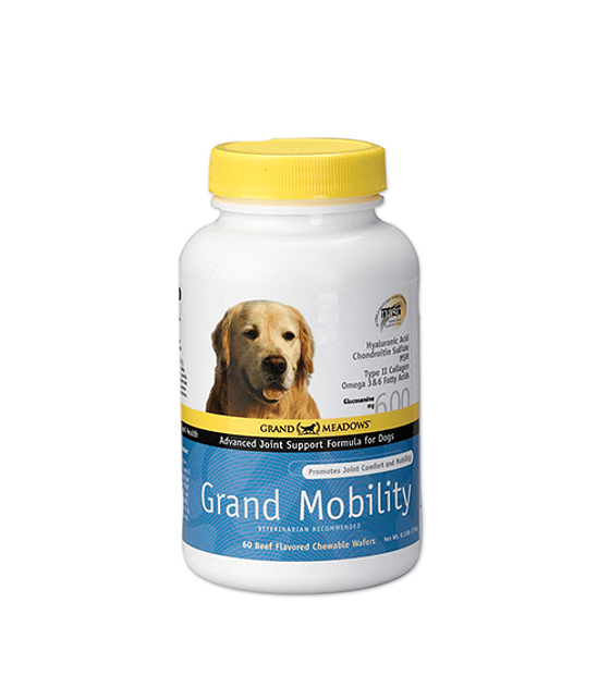 Grand Mobility