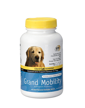 Grand Mobility