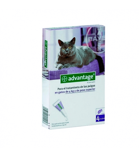 Advantage Gatos 4 - 8 Kg 