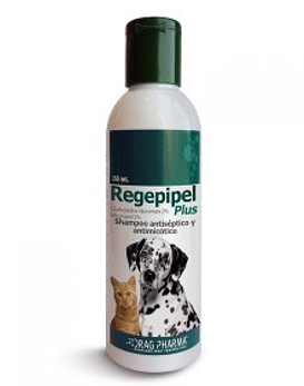 Shampoo Regepipel, 100 ml 