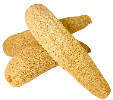 Luffa - Esponja Vegetal