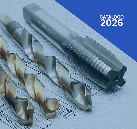 Brocas, machos e discos