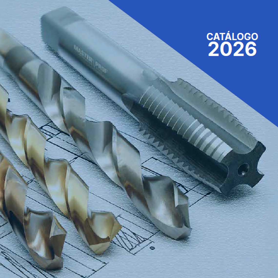 Brocas, machos e discos 1