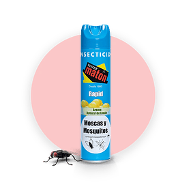 INSECTICIDA VINFER LIMÃO 300ML