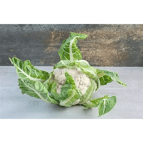 COUVE FLOR COM FOLHAS