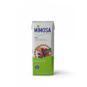 NATAS UHT MIMOSA PARA BATER 200ML