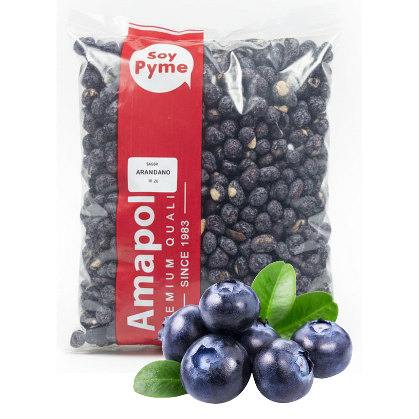 Mani Confitado Arandano 1 Kilo 1