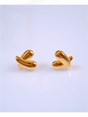 Aretes Clásico Vínculo