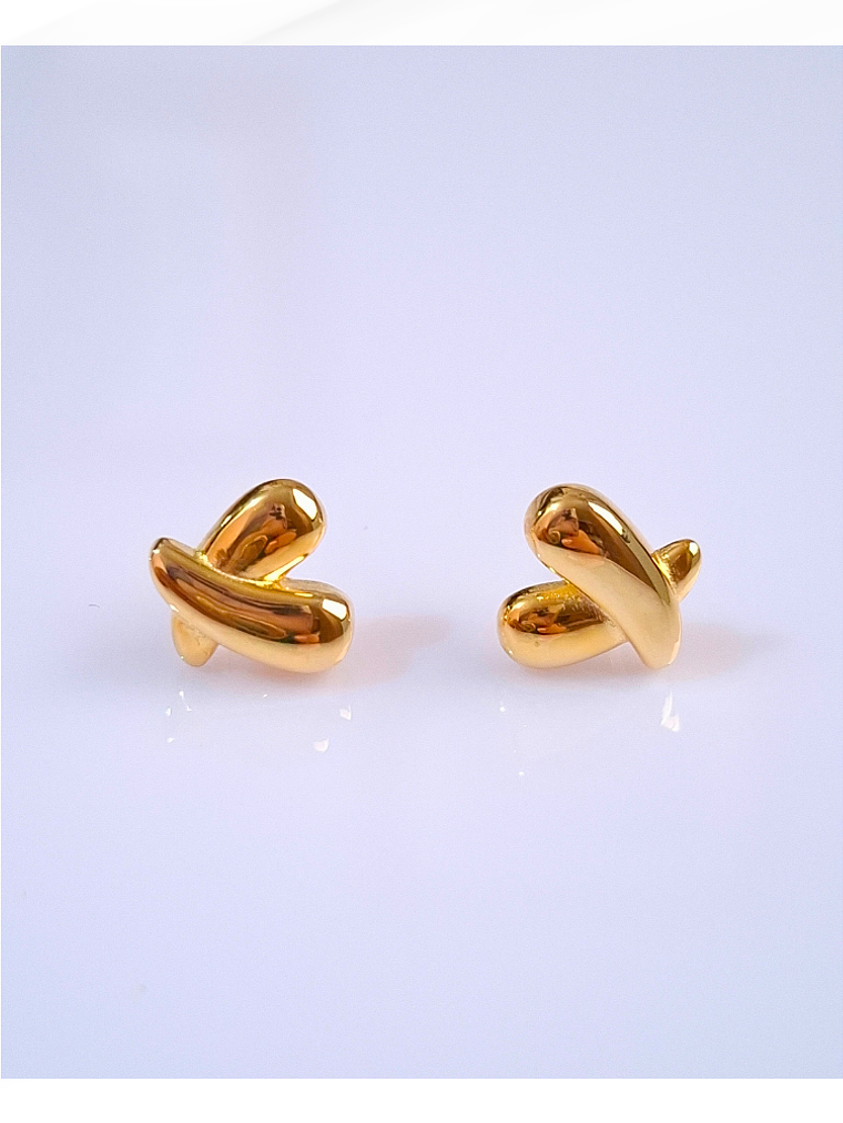 Aretes Clásico Vínculo 1